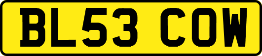 BL53COW