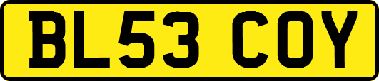 BL53COY