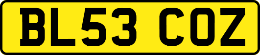 BL53COZ