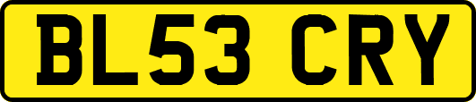BL53CRY
