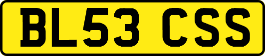 BL53CSS