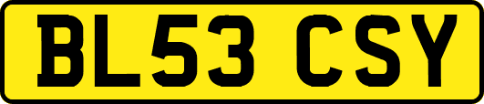 BL53CSY