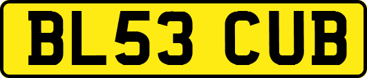BL53CUB