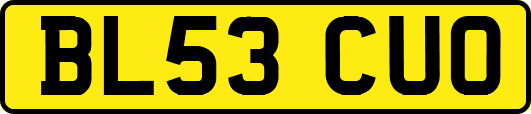 BL53CUO