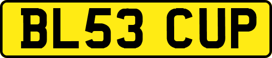 BL53CUP