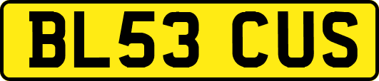 BL53CUS