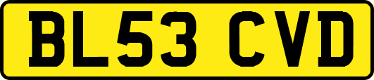 BL53CVD