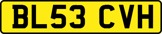 BL53CVH
