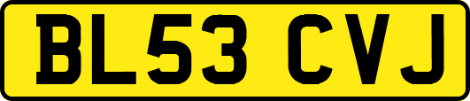 BL53CVJ