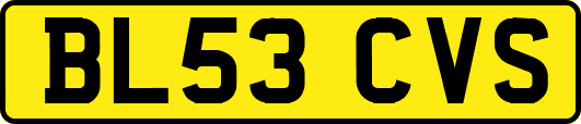 BL53CVS