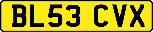 BL53CVX