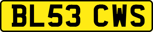 BL53CWS