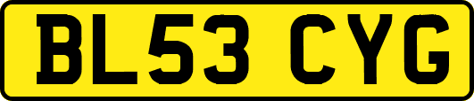 BL53CYG