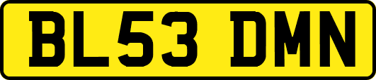 BL53DMN