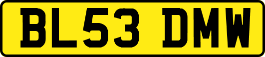 BL53DMW