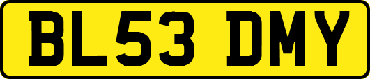 BL53DMY