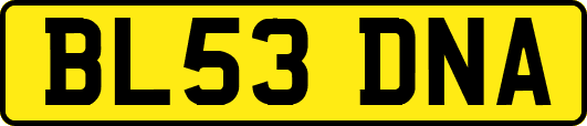 BL53DNA