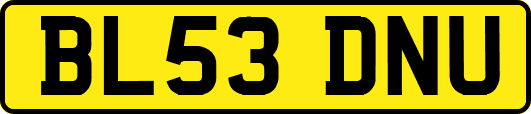 BL53DNU