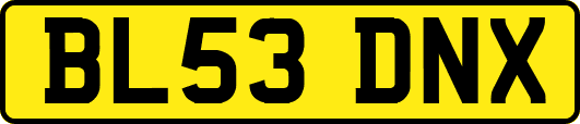BL53DNX