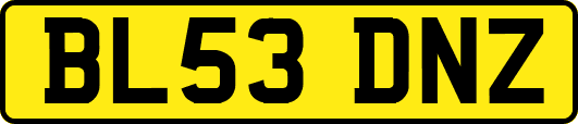 BL53DNZ