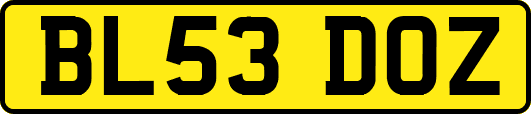 BL53DOZ