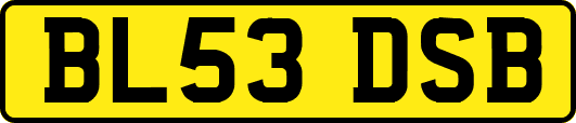 BL53DSB