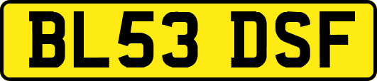 BL53DSF