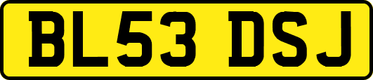 BL53DSJ
