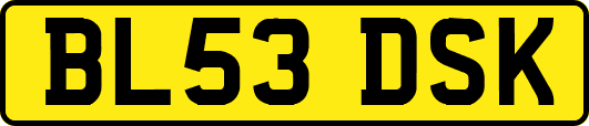 BL53DSK