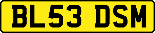 BL53DSM
