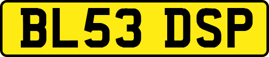 BL53DSP