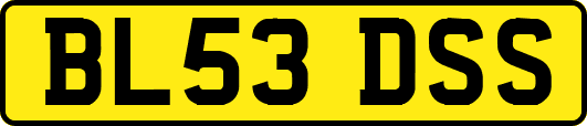 BL53DSS