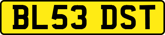 BL53DST