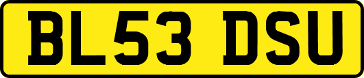 BL53DSU
