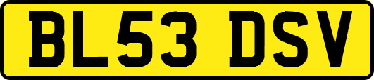 BL53DSV