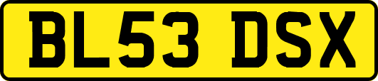 BL53DSX