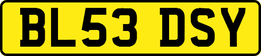 BL53DSY