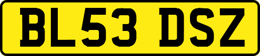 BL53DSZ