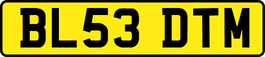 BL53DTM