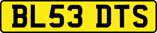 BL53DTS