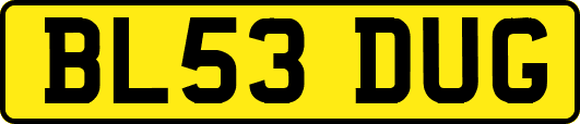 BL53DUG