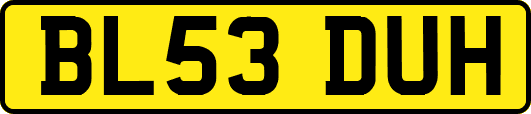 BL53DUH