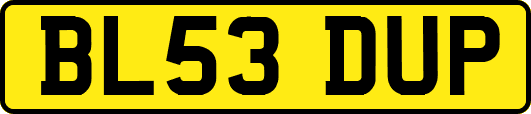 BL53DUP