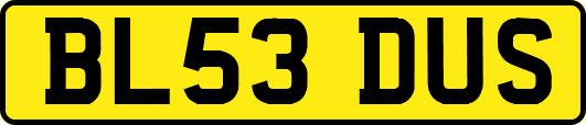 BL53DUS