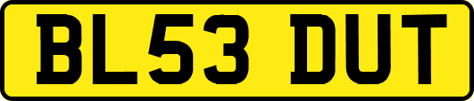 BL53DUT
