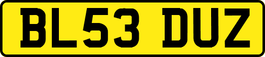 BL53DUZ