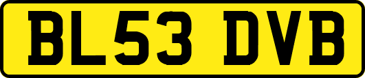 BL53DVB
