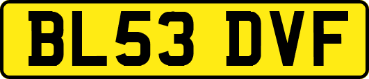 BL53DVF