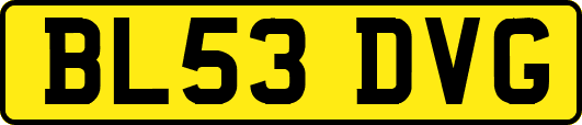 BL53DVG