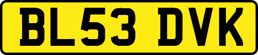 BL53DVK